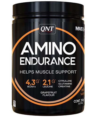 Amino Endurance 350 гр (QNT)