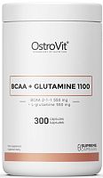 BCAA + Glutamine 1100 300 капсул (OstroVit)