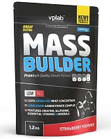Mass Builder 1200 гр - 2,62lb (VP Laboratory)