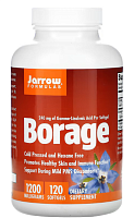Borage GLA-240 (Огуречник 240 мг ГЛК) 1200 мг 120 гелевых капсул (Jarrow Formulas)