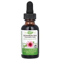Echinacea (Эхинацея на 99,9% без спирта) 30 мл (Nature's Way)