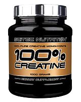 100% Pure Creatine 1000 гр (Scitec Nutrition)