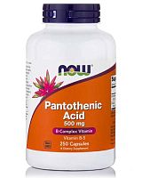 Pantothenic Acid 500 mg (Vitamin B5) 250 капс (NOW)