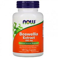 Boswellia Extract (экстракт босвеллии) 250 мг 120 вег капсул