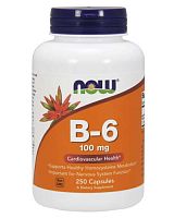 B-6 100 мг 250 капc (NOW)